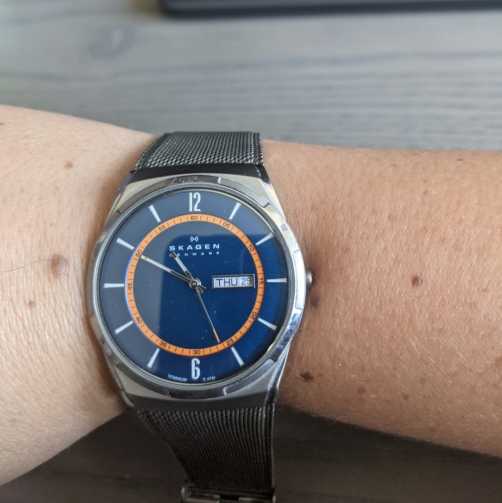 Men's gray Skagen watch